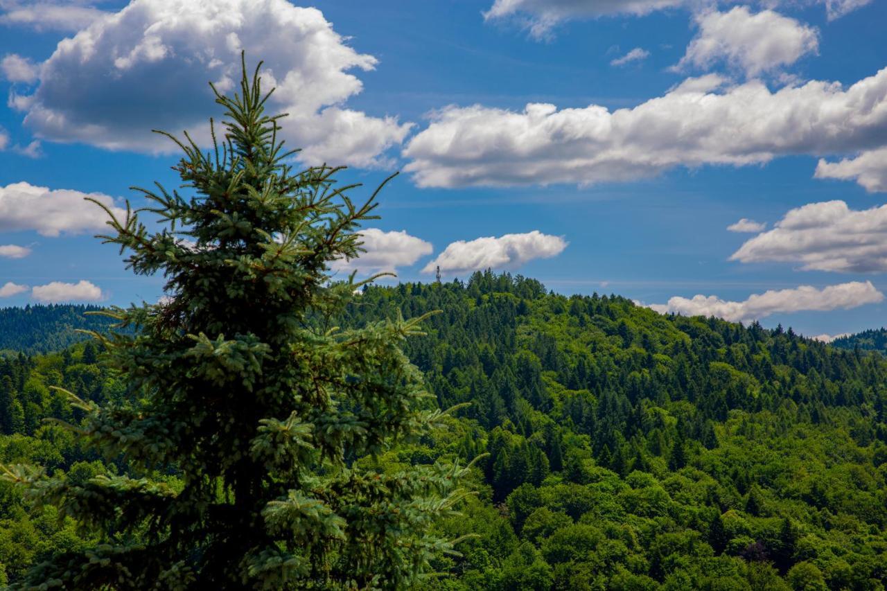 Sun & Sport Apartamenty Krynica-Zdroj Kültér fotó